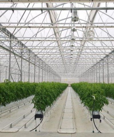 glasshouse